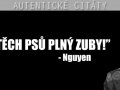 zuby.jpg